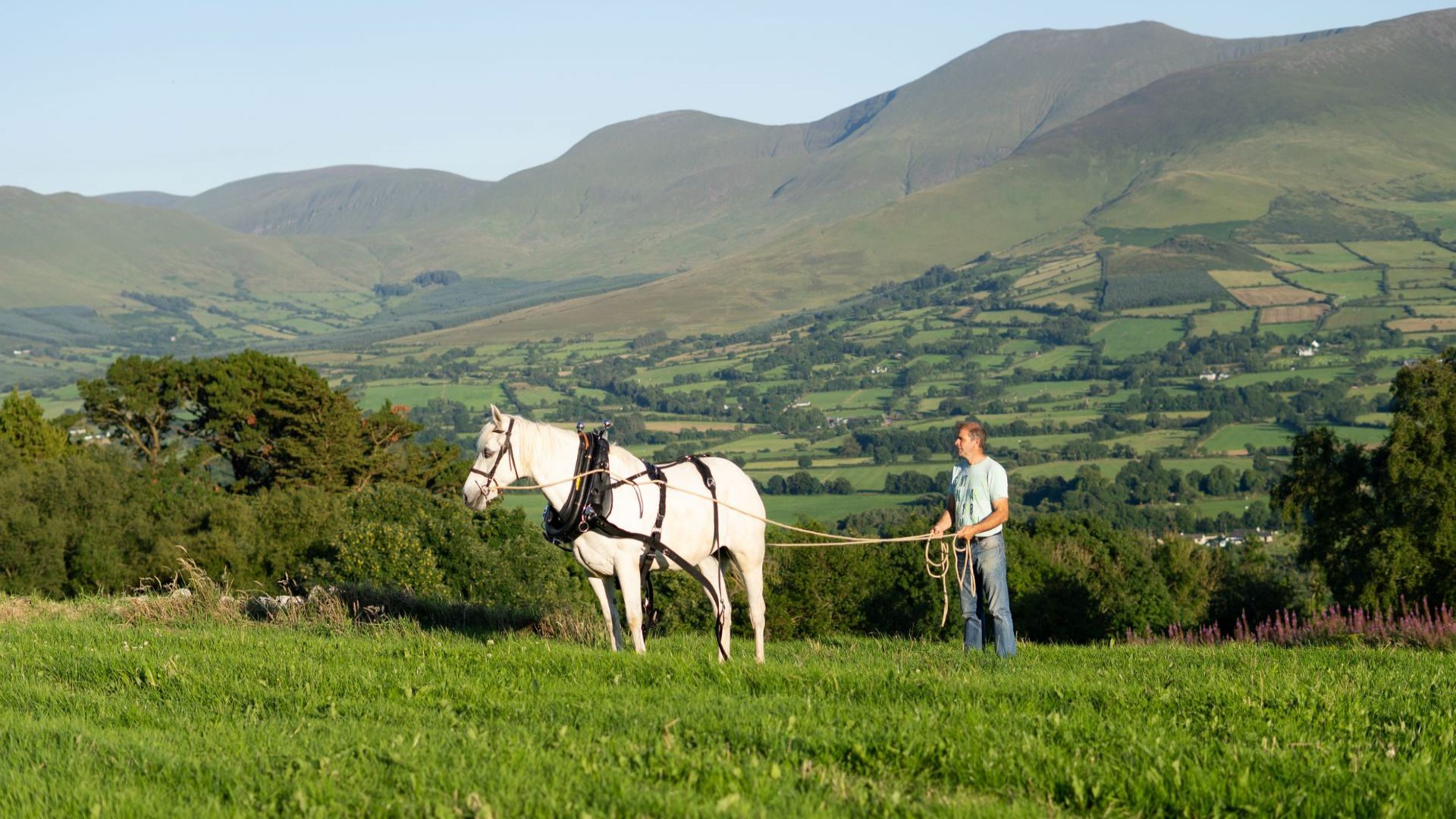 The Art of Horse Logging & Ancient Dolmens