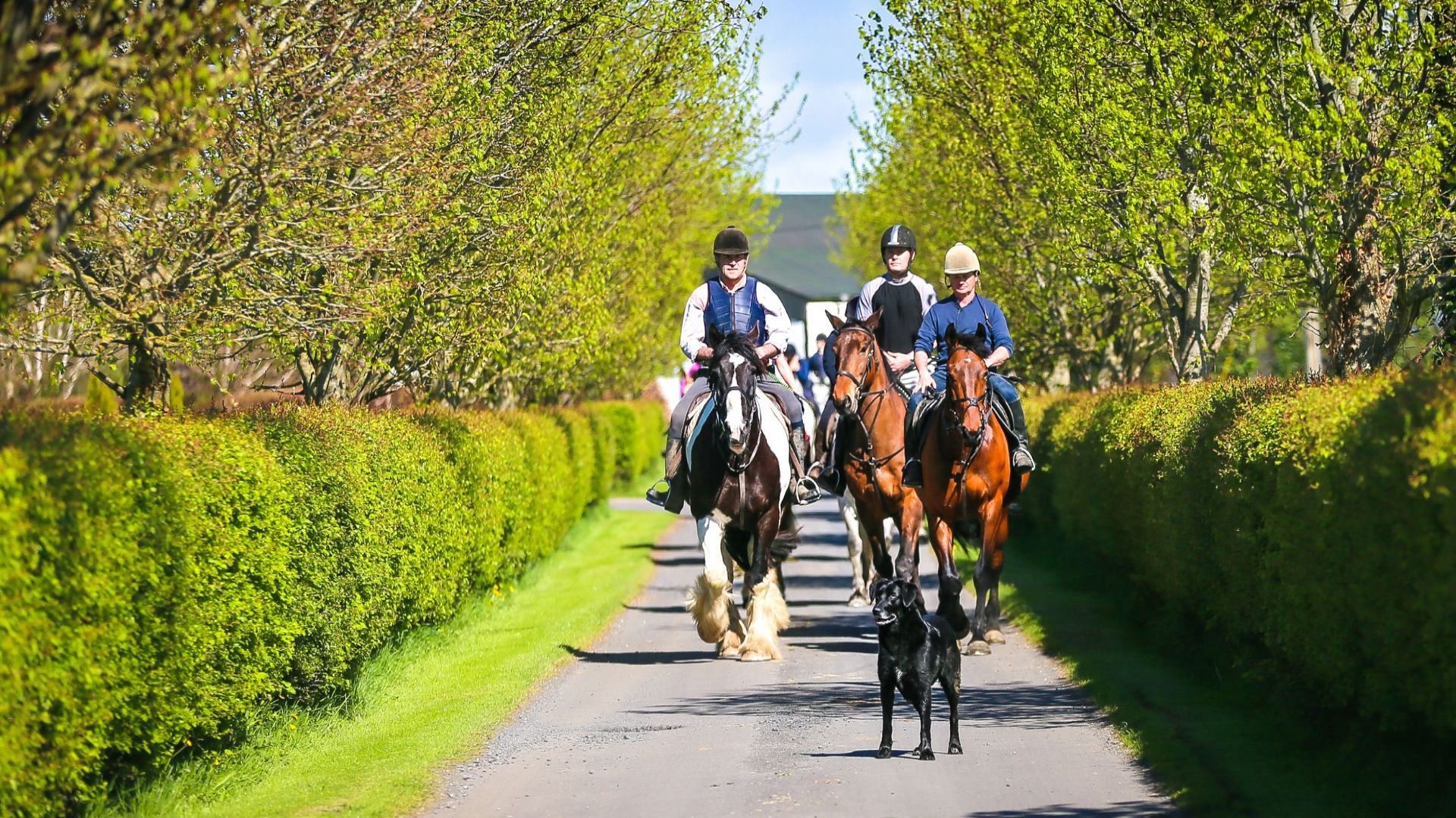 Abbeyfield Farm on Horseback
