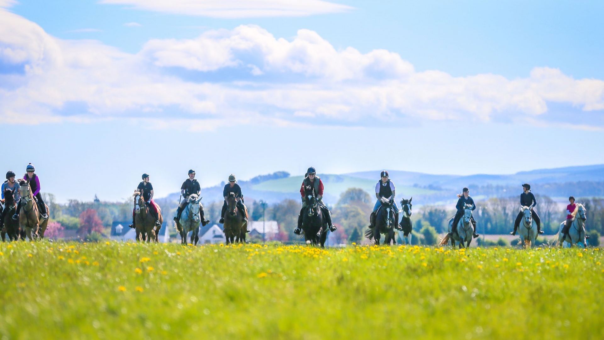 Abbeyfield Farm on Horseback