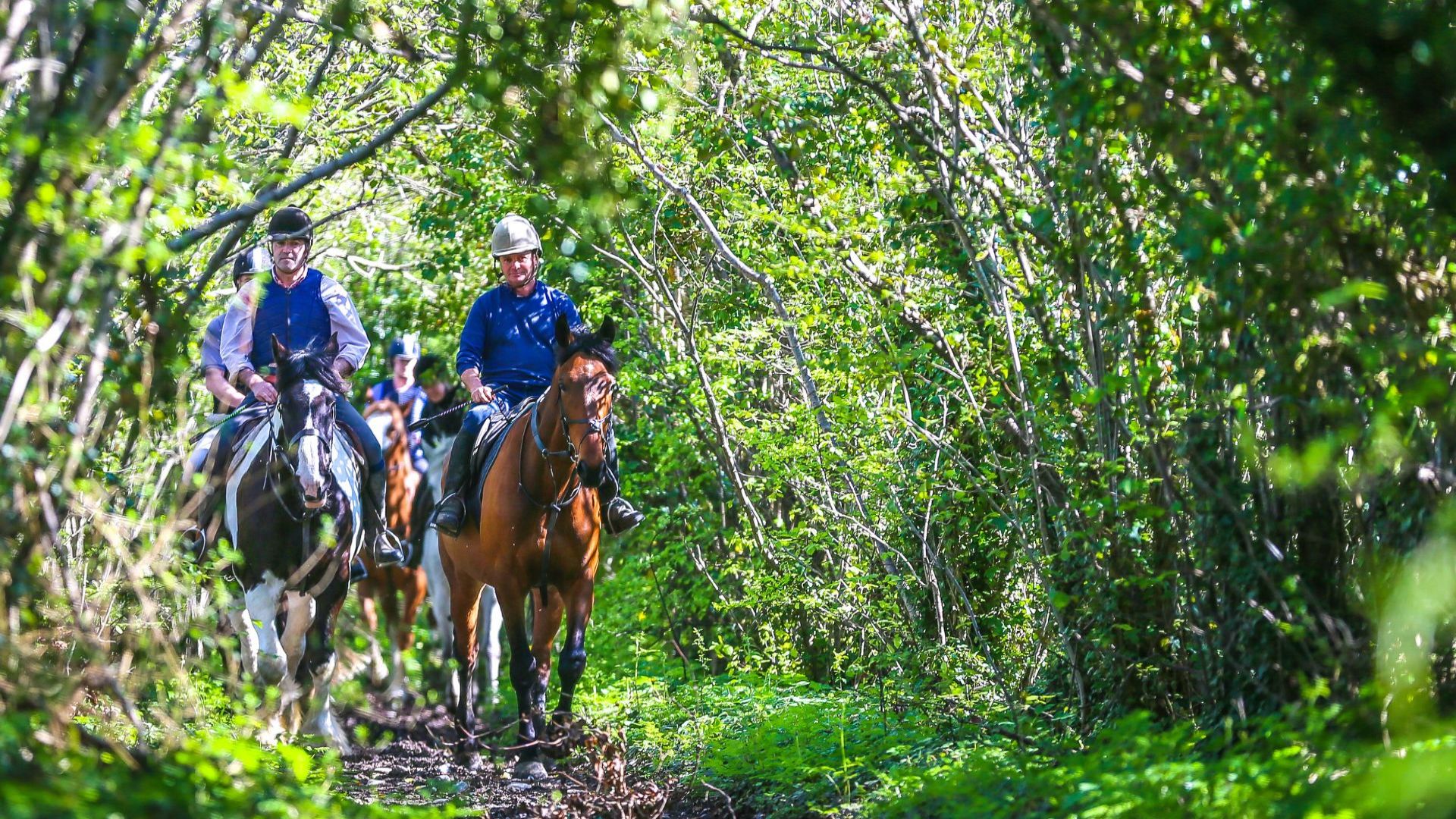 Abbeyfield Farm on Horseback