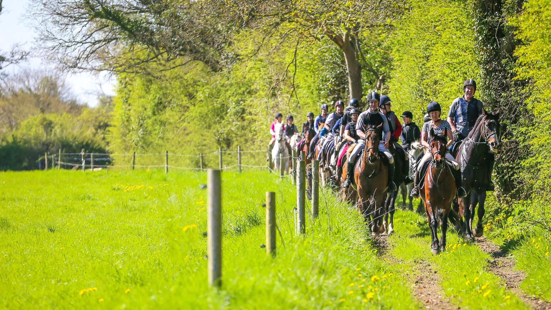 Abbeyfield Farm on Horseback