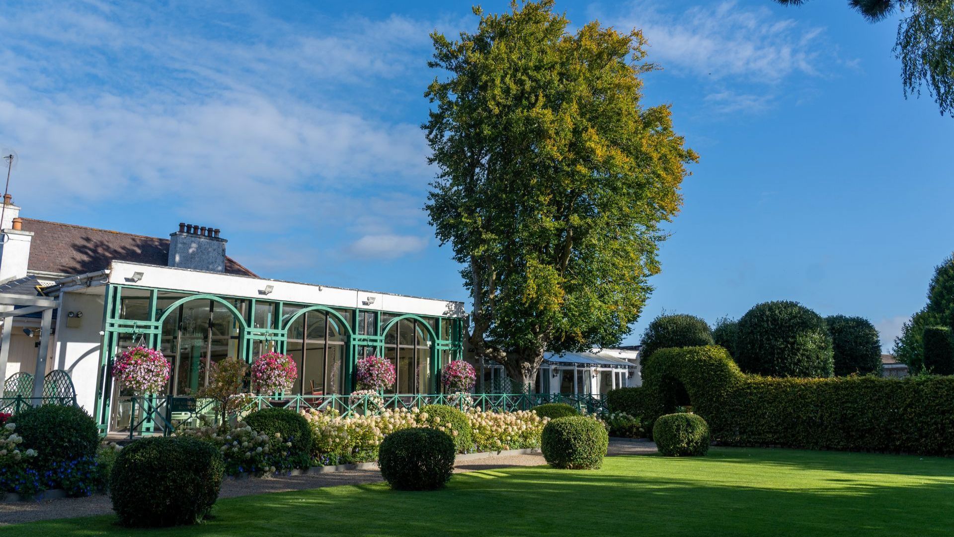 Gift the Experience: Champions Table: An Intimate Evening at the Heart of Irish Racing