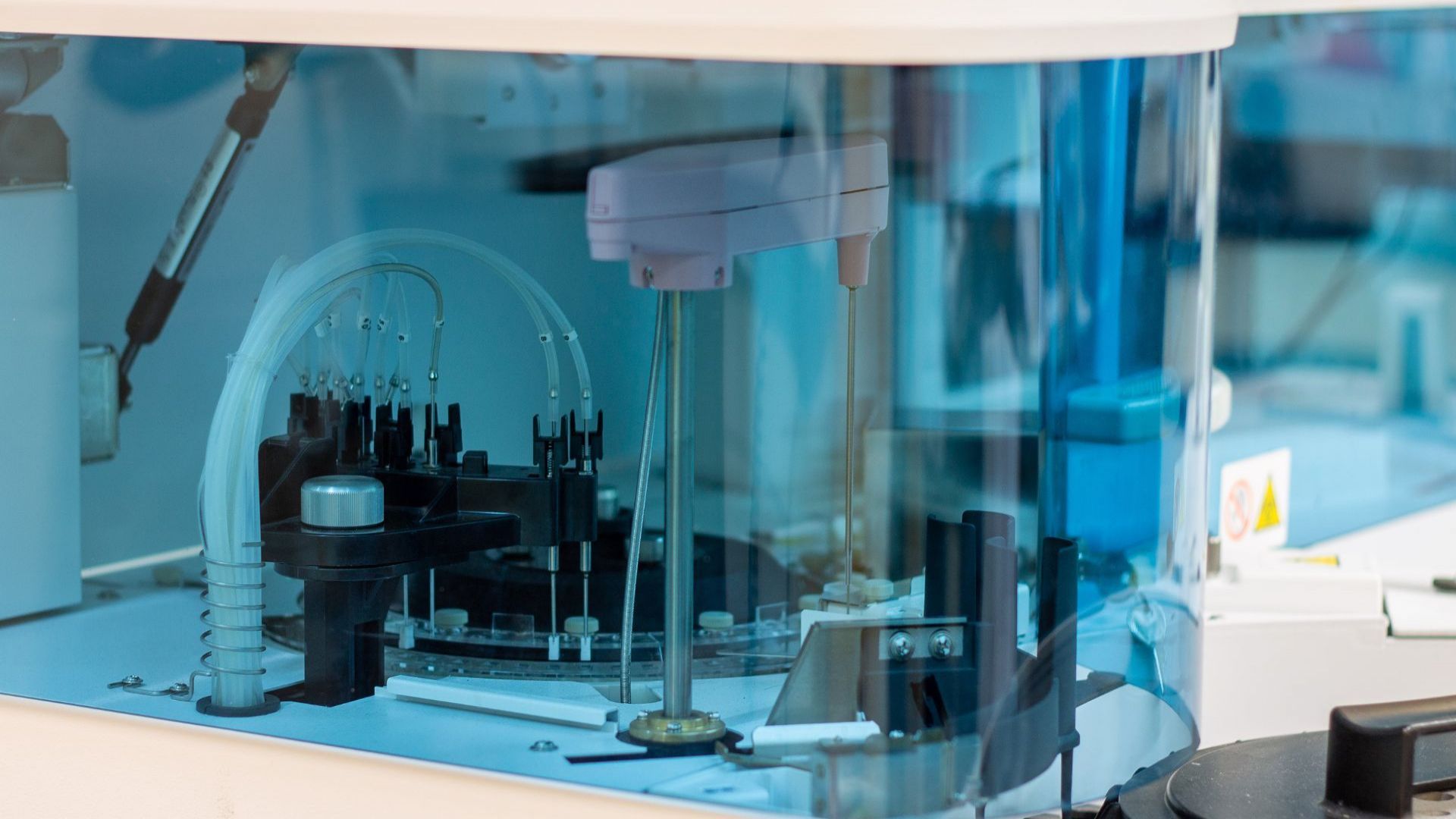 Gift the Experience: Inside the Irish Equine Science Laboratory