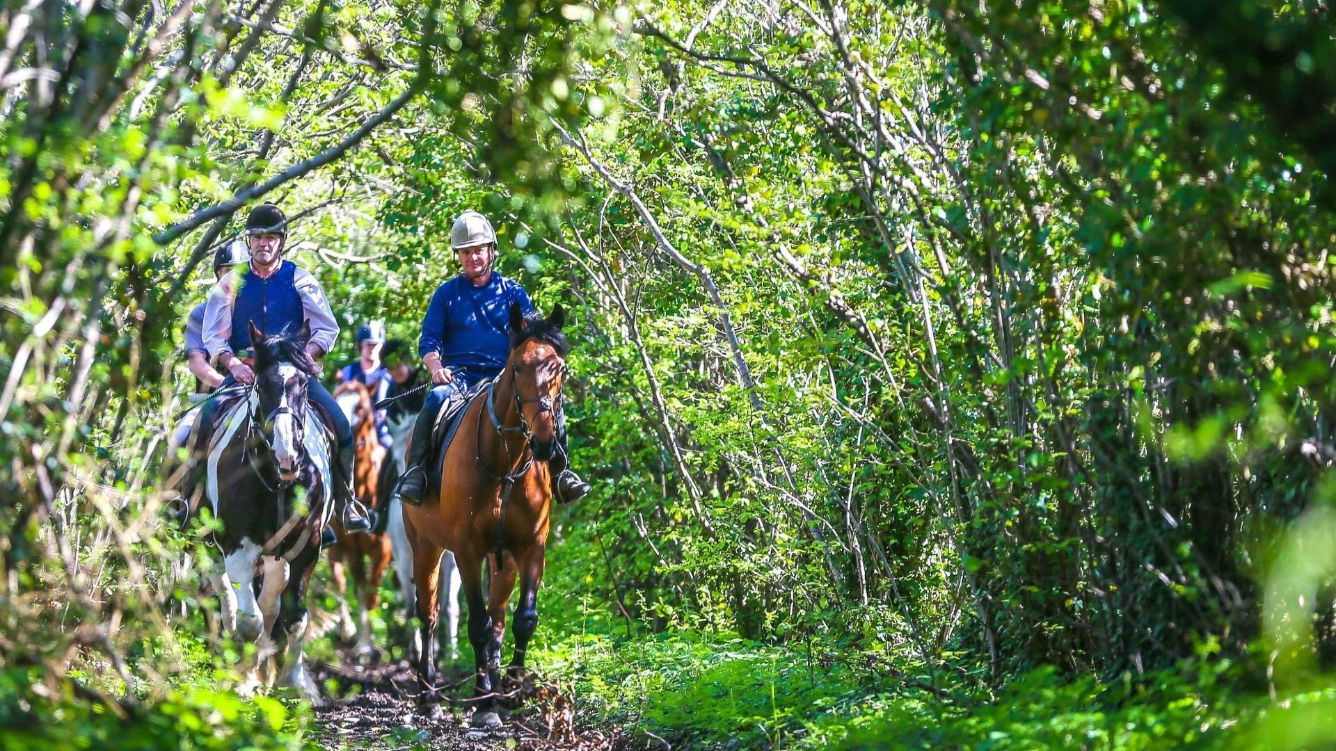 Gift the Experience: Cattle Herding on Horseback at Abbeyfield Farm