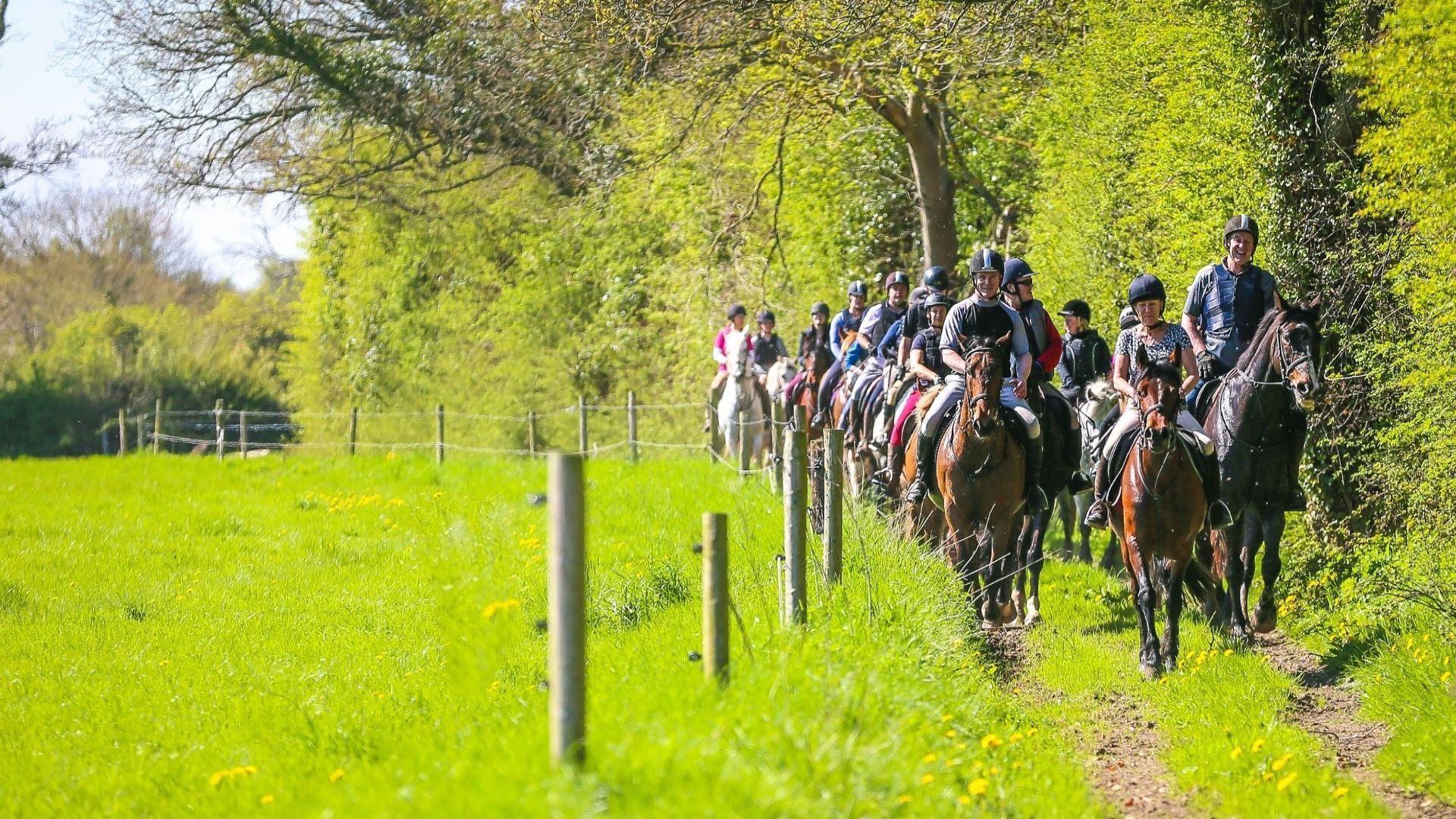 Gift the Experience: Cattle Herding on Horseback at Abbeyfield Farm