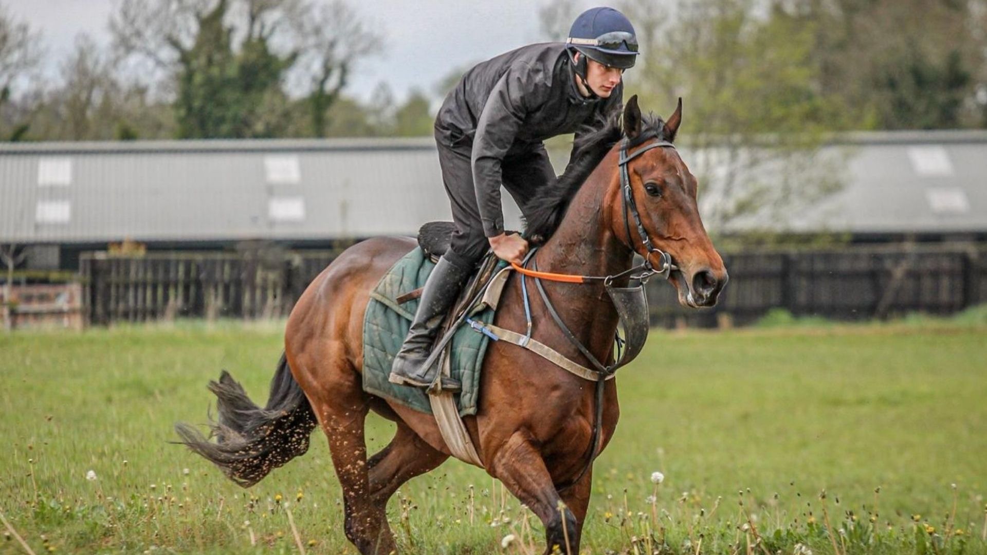 Gift the Experience: Ross O’Sullivan Racing