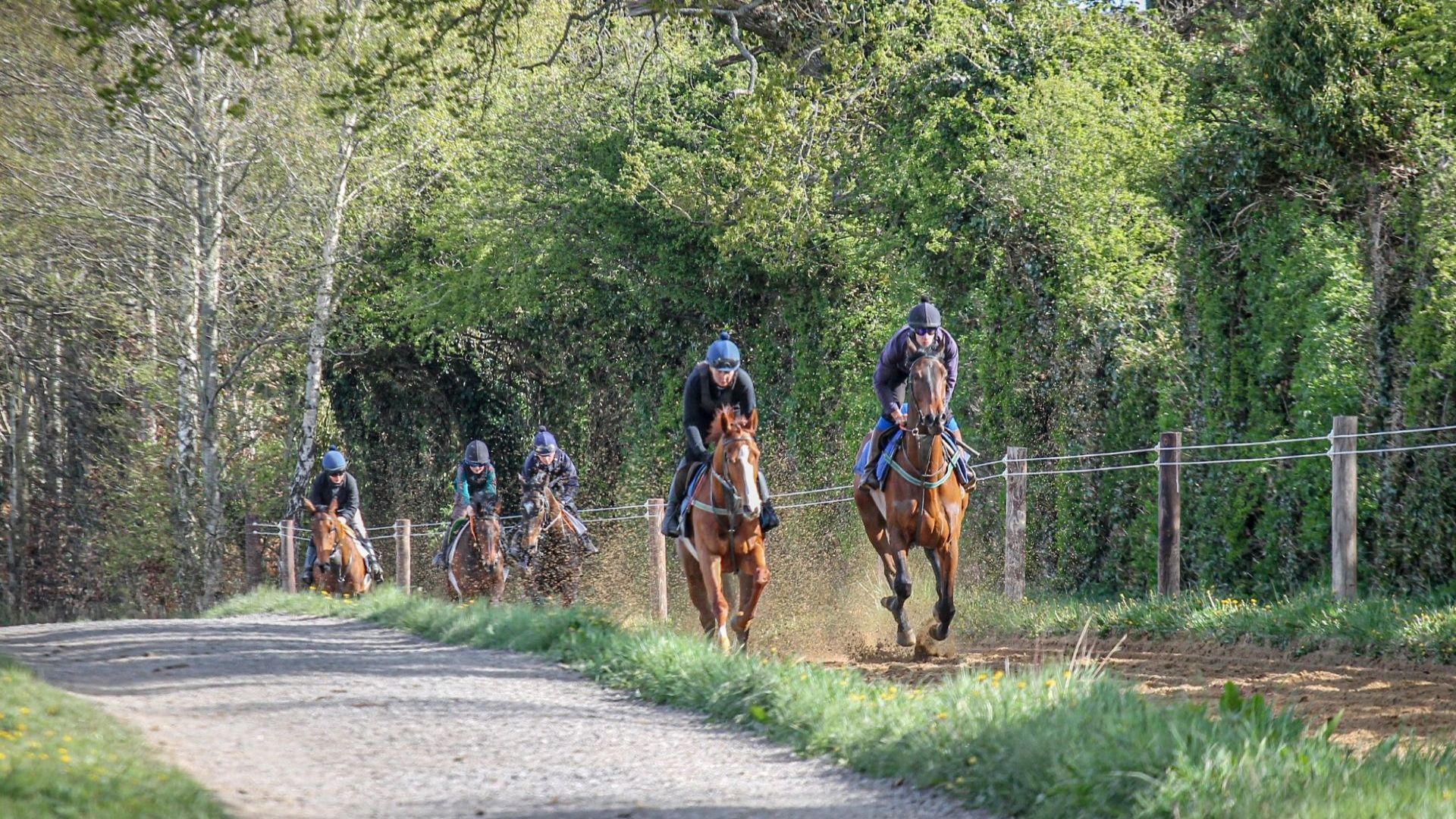 Gift the Experience: Ross O’Sullivan Racing