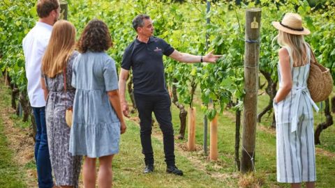 Countryside Break with Vineyard Tour and Wine Tasting at Chapel Down for Two