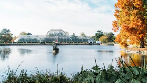 Visit to Kew Gardens with Cream Tea for Two