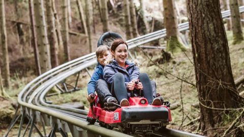 Zip World Fforest Coaster for Two