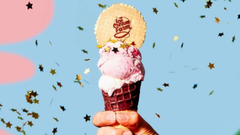 Entry Ten Play Pass and Ice Cream for a Family of Four at The Ice Cream Farm