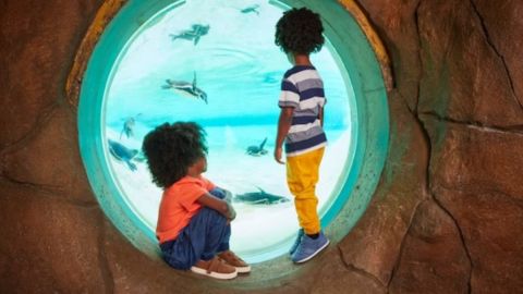 Visit to London Zoo for Two Adults and Two Children
