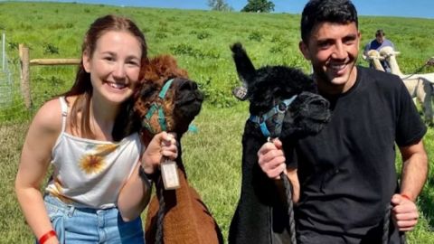 Charnwood Forest Alpacas Walk with Afternoon Tea for Two