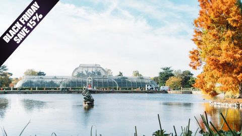 BF Offer Visit to Kew Gardens with Cream Tea for Two
