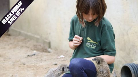 BF Offer Millets Wildside Junior Animal Keeper Experience