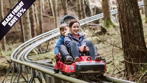 BF Offer Zip World Fforest Coaster for Two