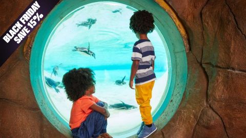 BF Offer Visit to London Zoo for Two Adults and Two Children