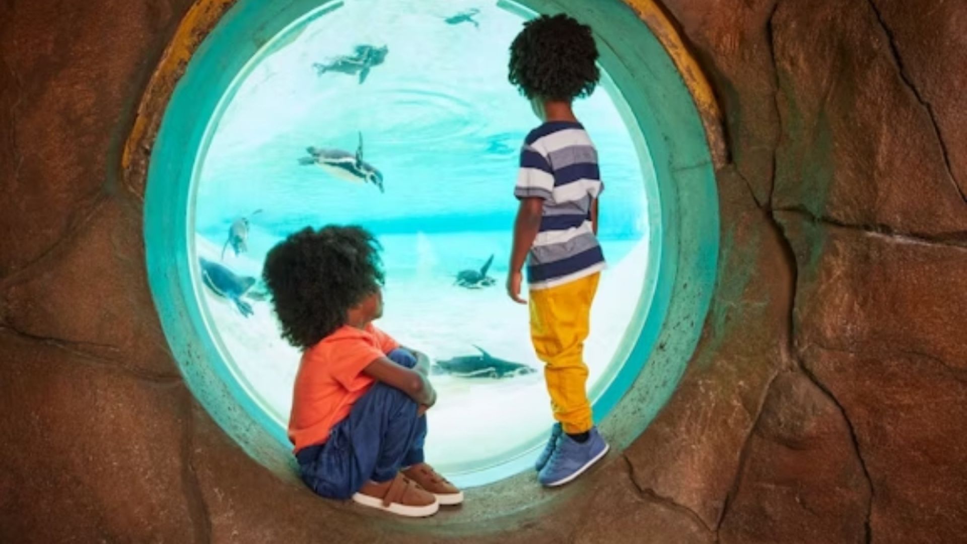 Visit to London Zoo for Two Adults and Two Children