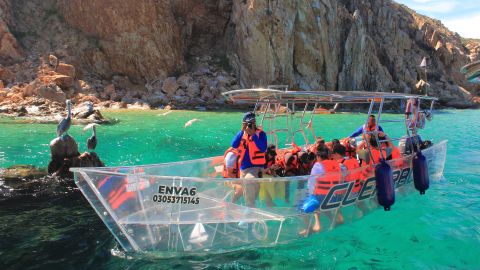 Glass bottom boat tour in Los Cabos