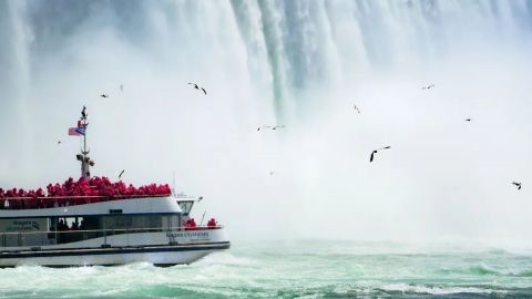 Niagara Falls Highlights Tour & Boat (Niagara Takes Flight in Winter when Boat not Operating)