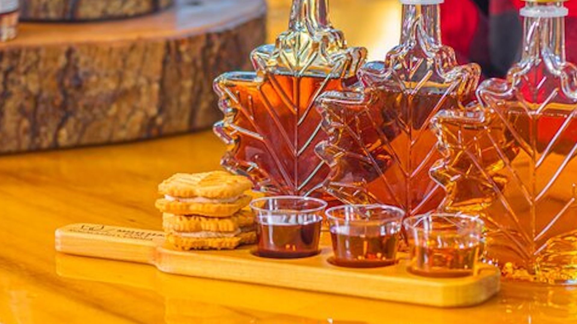 From Niagara: Half Day Niagara Falls Bus, Boat Tour, Lunch & Maple Syrup Tasting