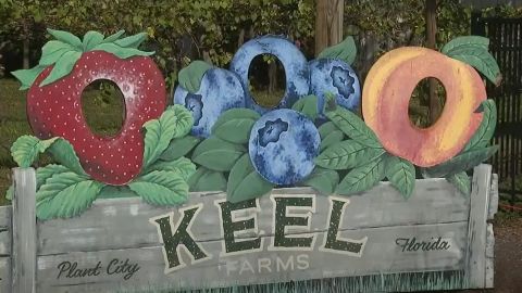 Experience Keel Farms