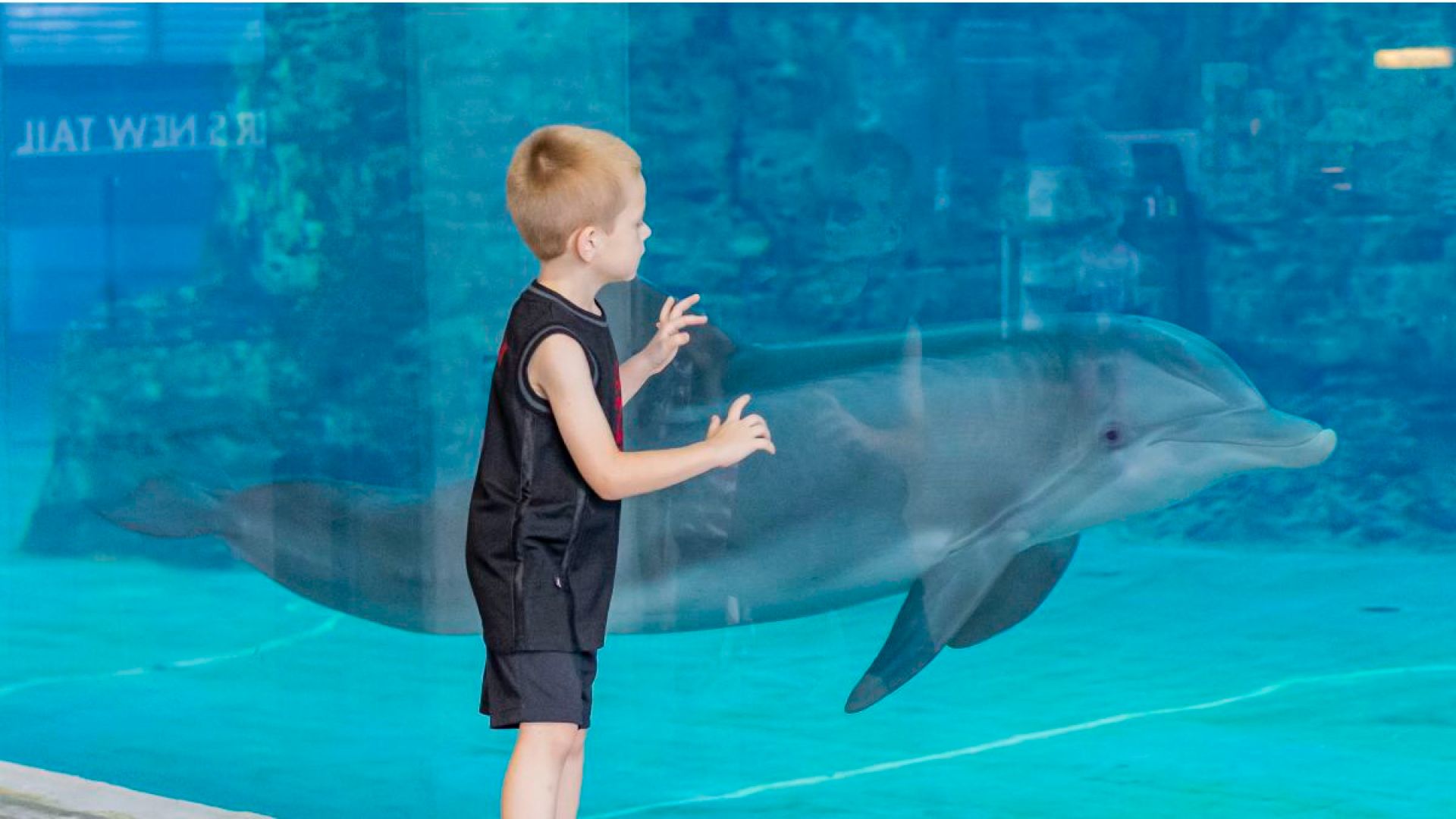 Clearwater Marine Aquarium: General Admission
