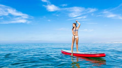 1 Day : Paddleboard Rental