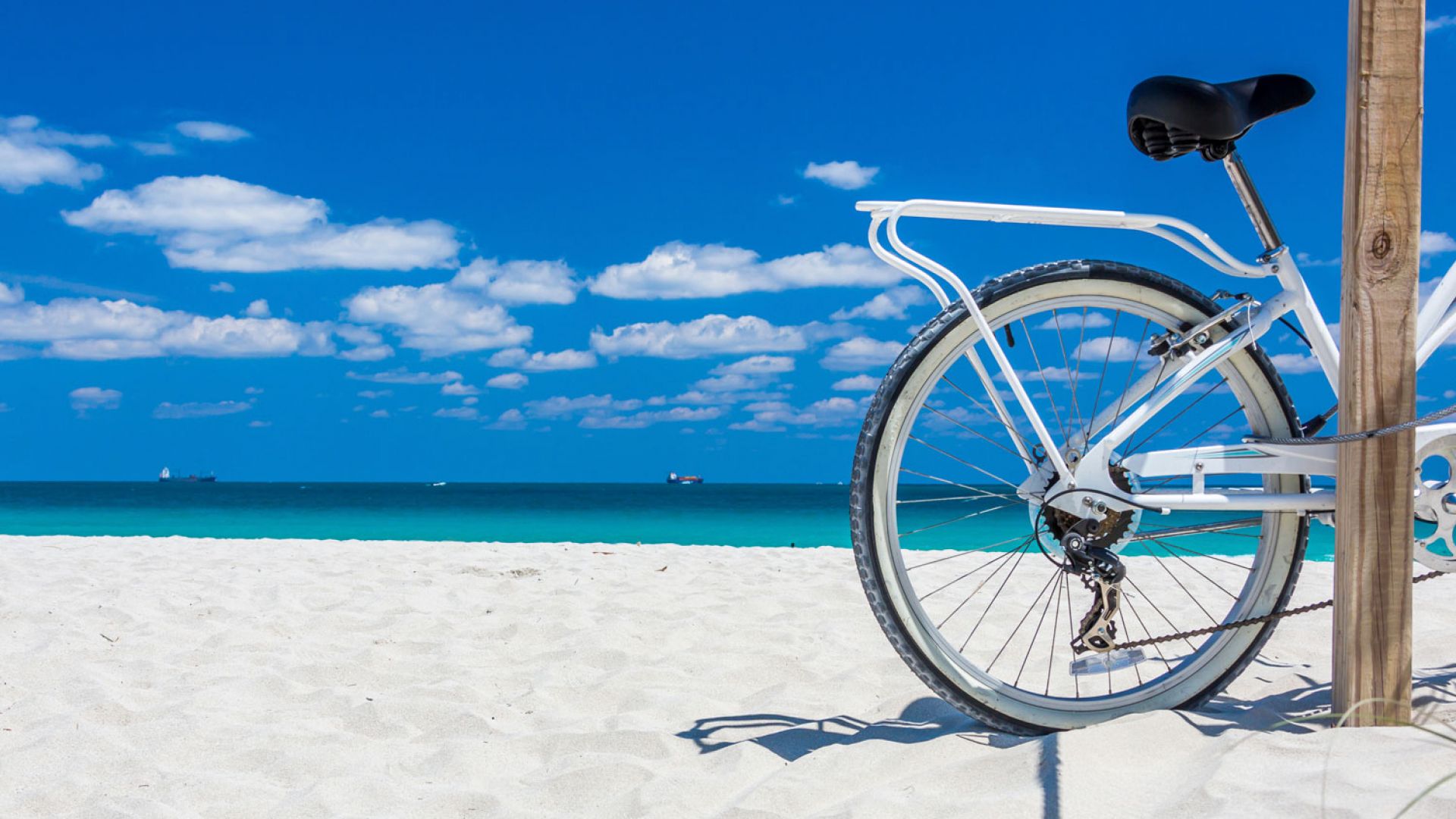 Beach Bike Rental