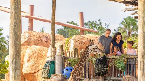 Zoo Tampa : Day Tickets