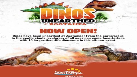 ZooTampa : Day Tickets