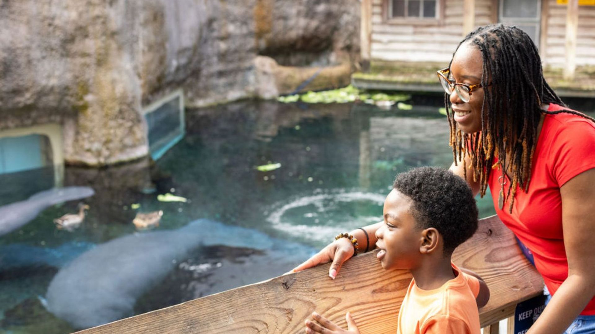 ZooTampa : Day Tickets