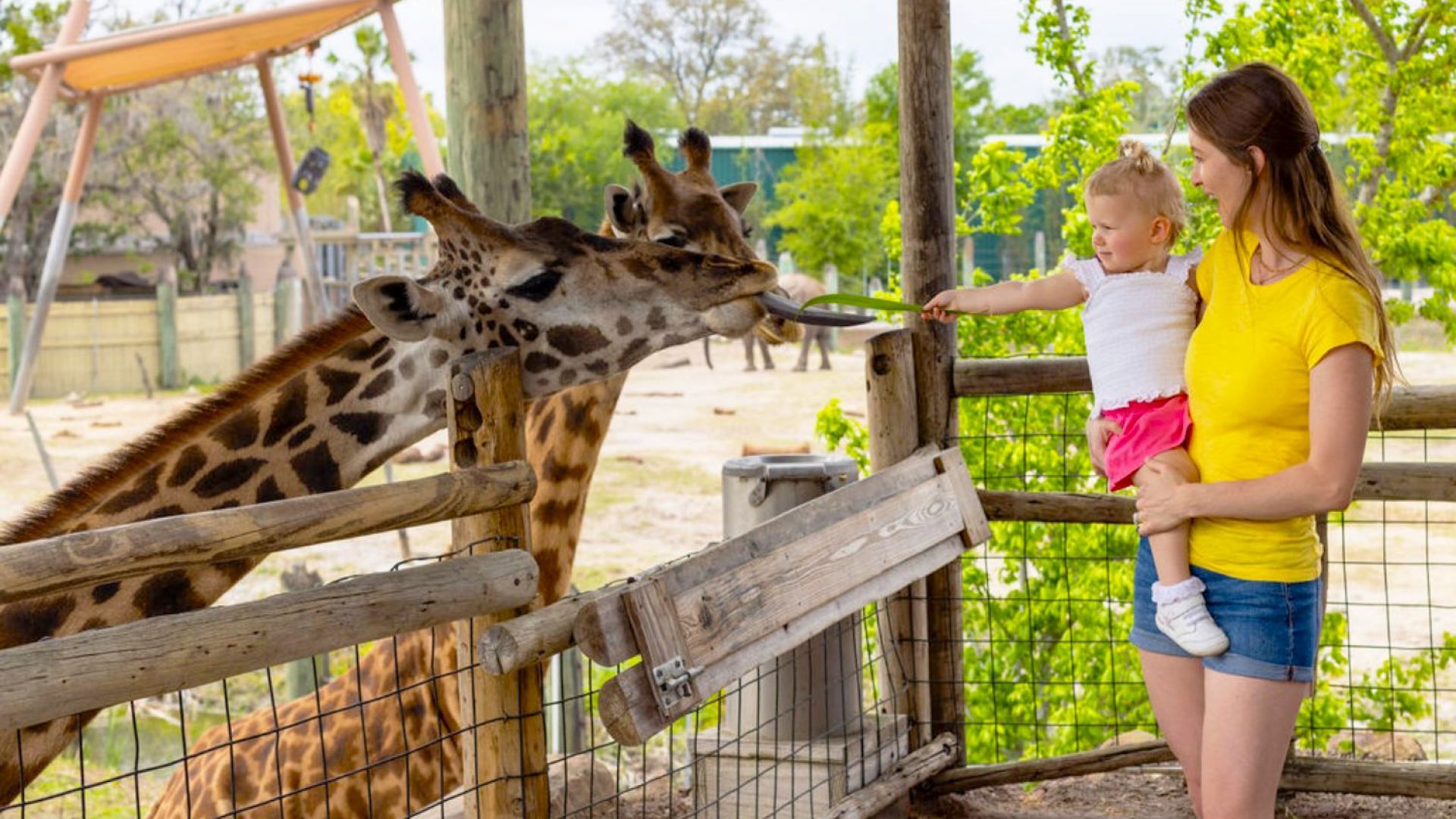 ZooTampa : Day Tickets