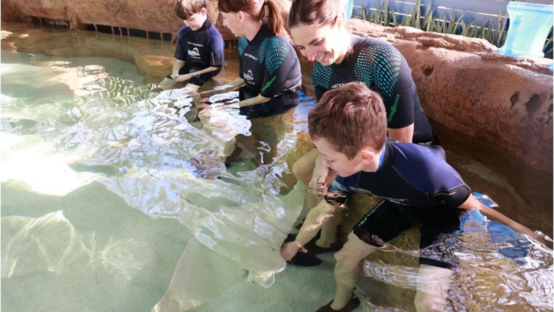 ZooTampa : Day Tickets