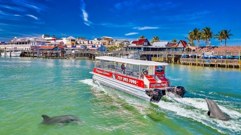 Dolphin Quest Boat Tour