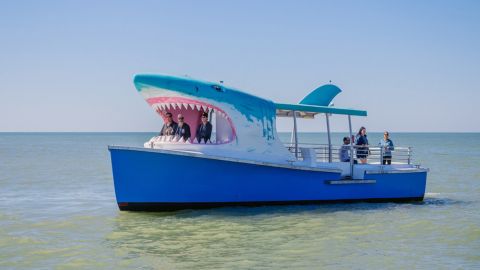 Shark Boat Tour