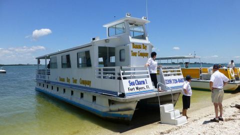 Ecological Dolphin Tour