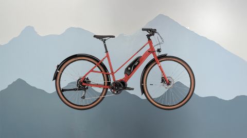 Electric Bike Rental