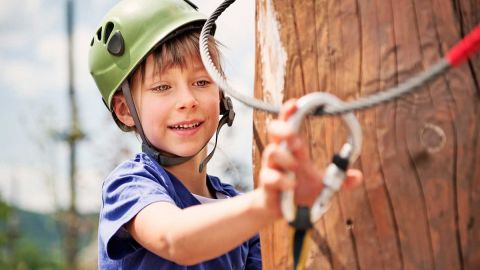 Aerial Adventure Park