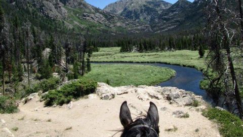 One-Hour Trail Rides