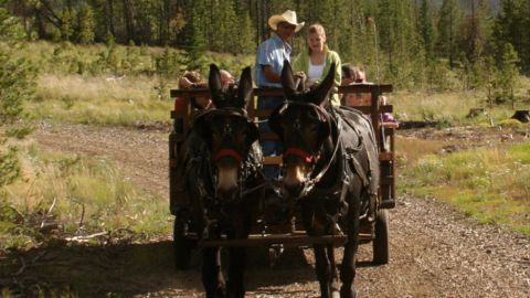 Chuck Wagon Dinner and Wild West Show