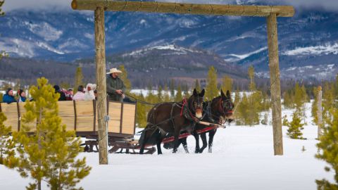 Scenic Hot Cocoa Sleigh Ride