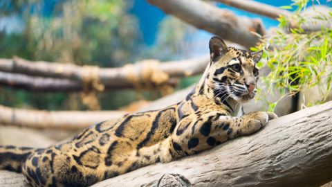 Loveland Living Planet Aquarium : General Admission