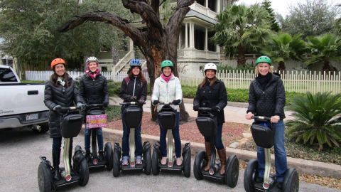 Tree Carvings Tour