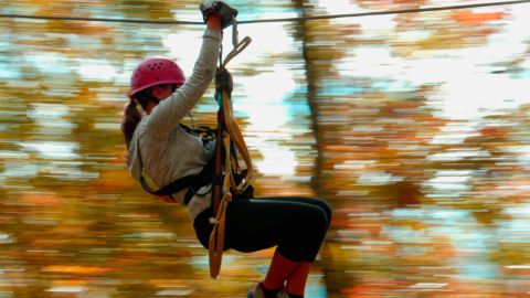 Zipline Canopy Tour