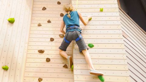 Climbing Wall