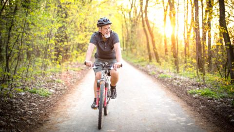 Half Day Bike Rentals