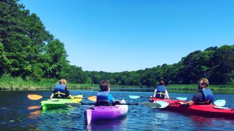 Cape Cod Explorer Kayak Tour