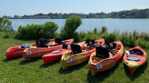 Seven-Day Bike, Kayak, and Paddleboard Rentals