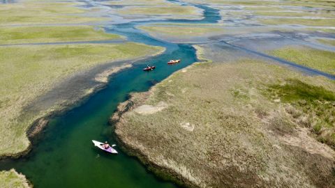 Kayak the Creek Nature Tour